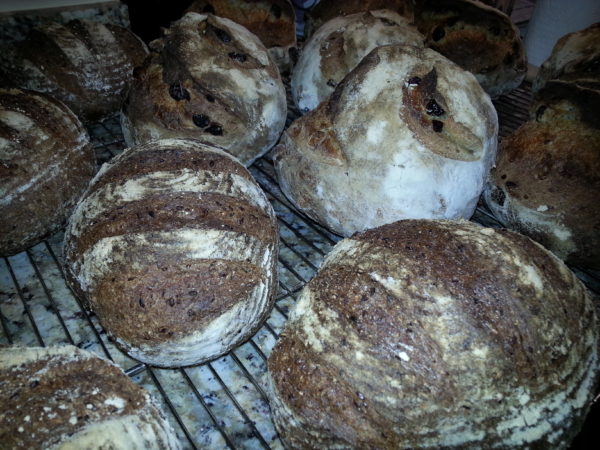 Finnish Rye
