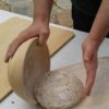Four Seed - Image 5